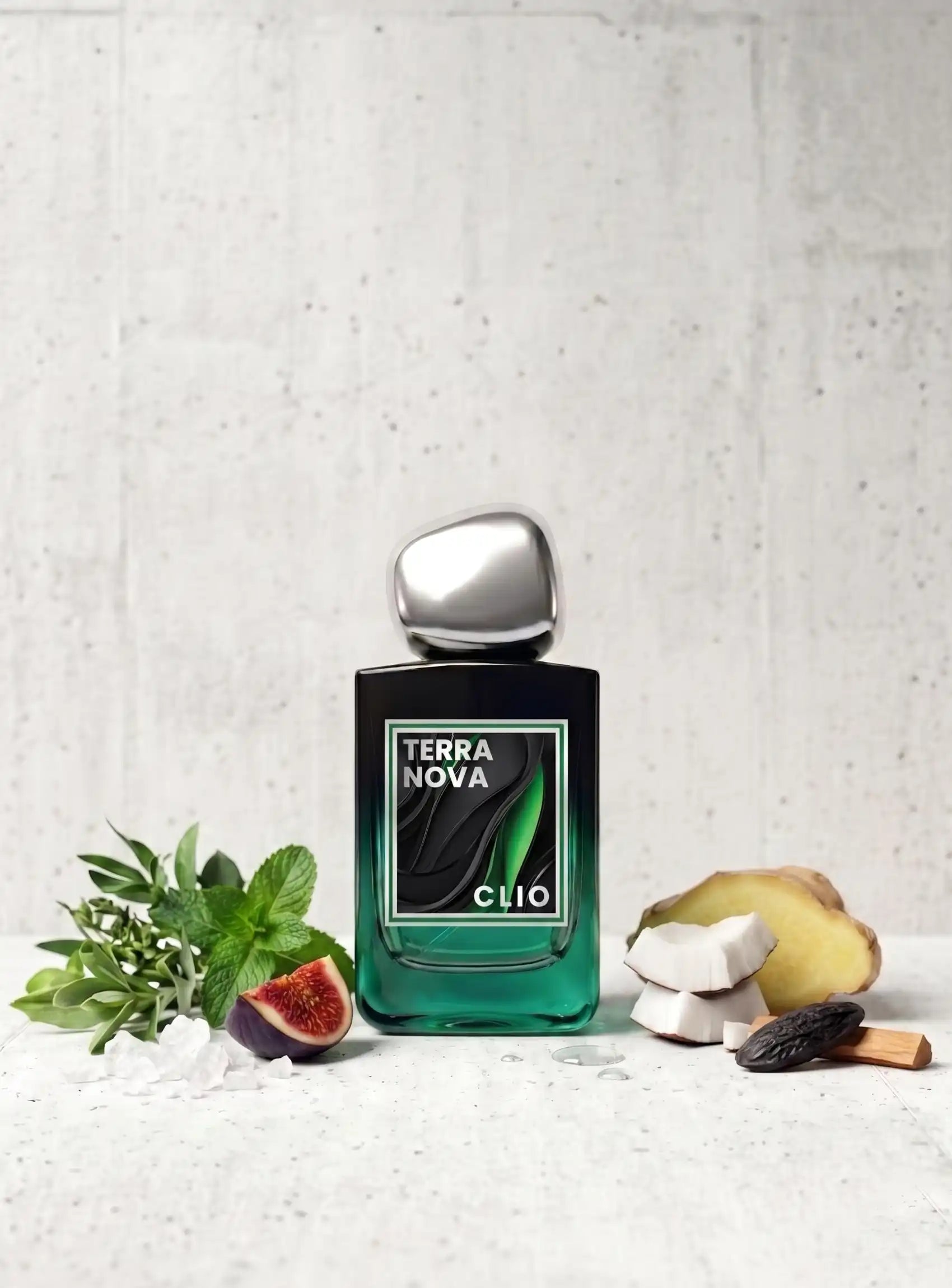TERRA NOVA